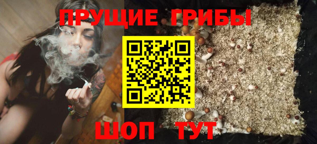 Удомля  Галлюциногенные грибы Magic Shrooms  Вход с VPN 